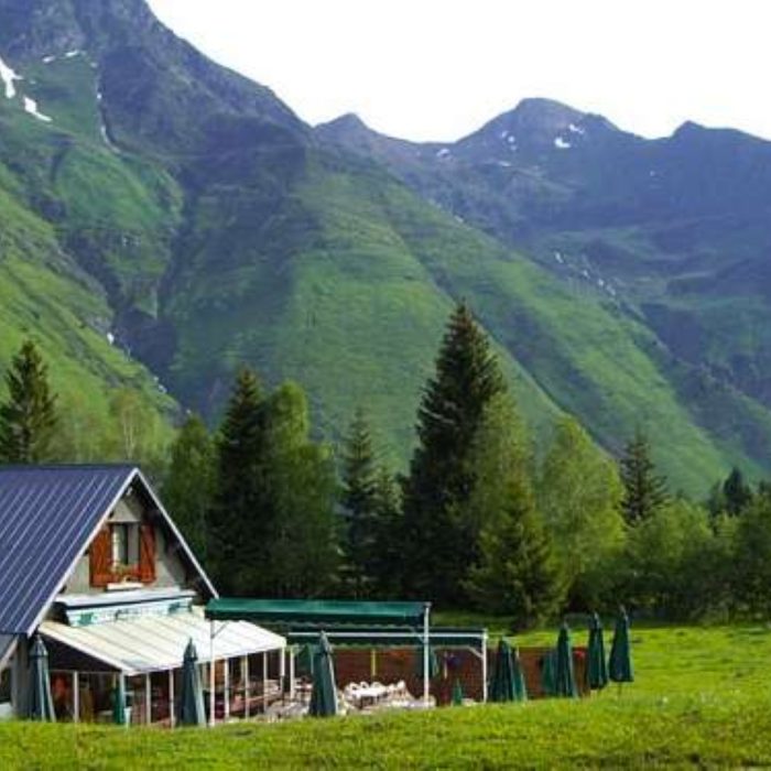 resto louisette (Personnalisé)