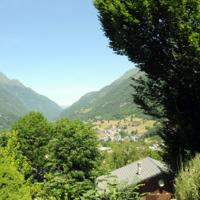 vue2 (Personnalisé)